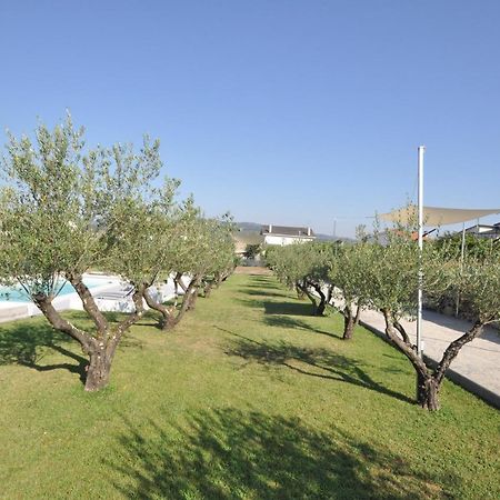 Olival Da Seara Villa Marco de Canavezes Екстериор снимка